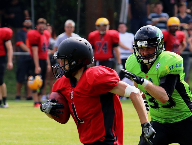 我们可以窥 我们可以窥