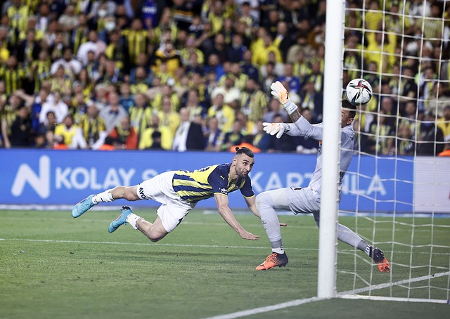 普利西奇的 普利西奇的