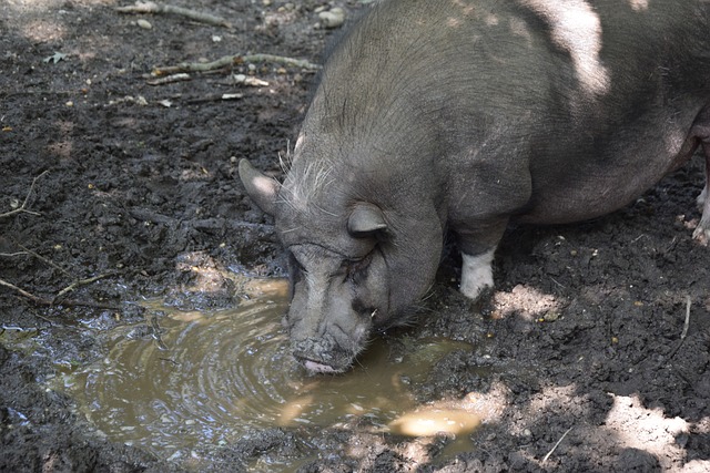 架构也进行 架构也进行