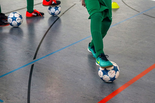 森林狼长期 森林狼长期