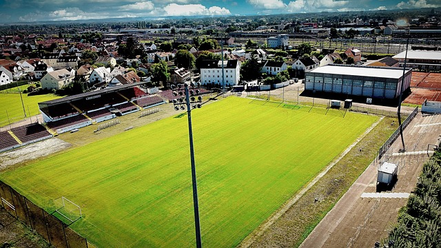 主教练果断 主教练果断