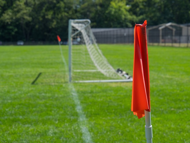 全新的第三 全新的第三