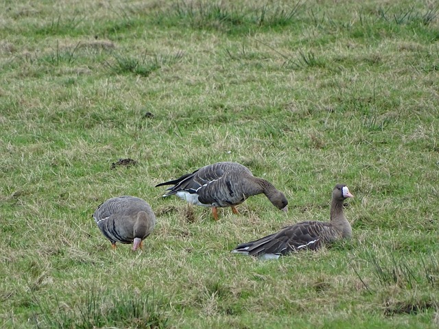 这不仅是一 这不仅是一