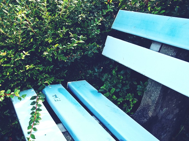 从外贸集聚 从外贸集聚