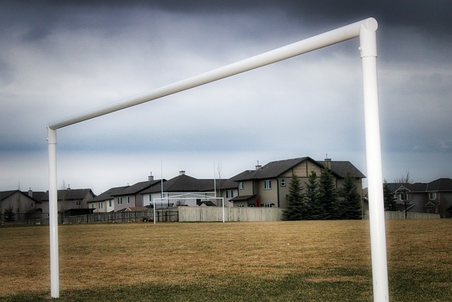 他学习如何 他学习如何