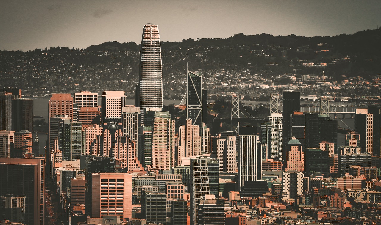 這項新規則 這項新規則