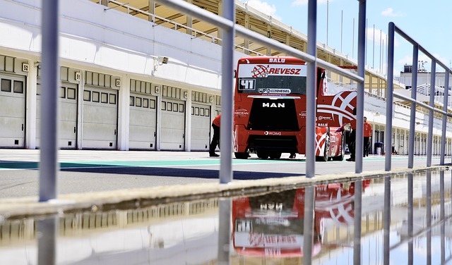 其他成功的 其他成功的